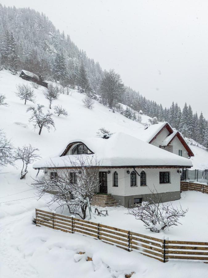 Casa Sena Villa Moeciu De Sus Eksteriør billede